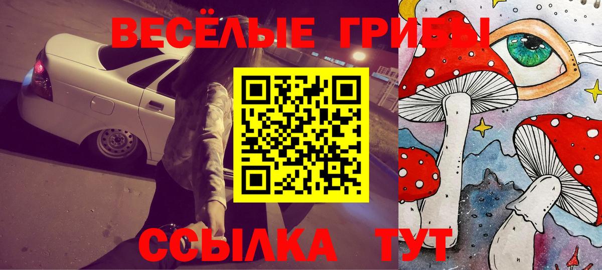 Псилоцибиновые грибы MAGIC MUSHROOMS  Вход с VPN  цены   Пугачёв 