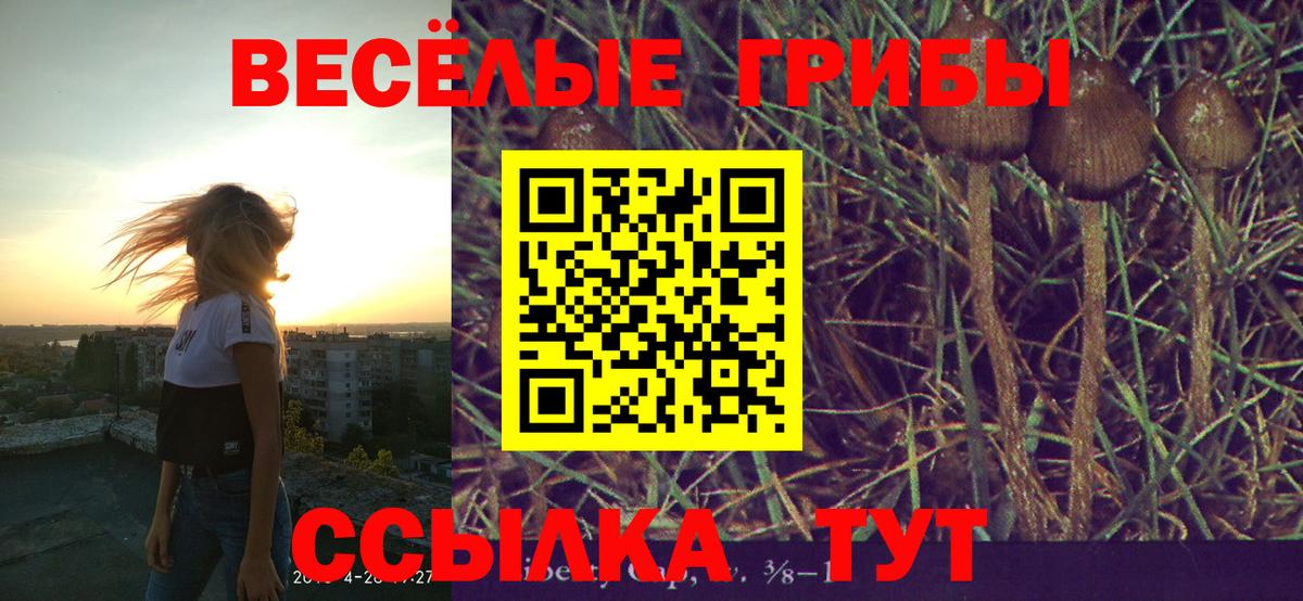Псилоцибиновые грибы Magic Shrooms Пугачёв